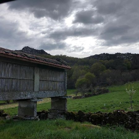 오렌세 A Casa Do Chico 아파트 외부 사진